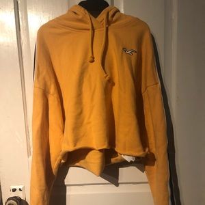 Golden yellow hollister cropped sweater